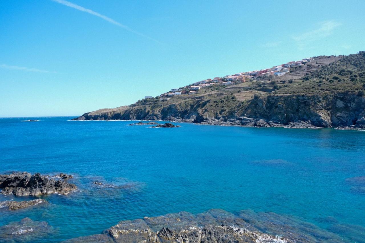 F3 En Bord De Mer Avec Piscine Cerbere Luaran gambar