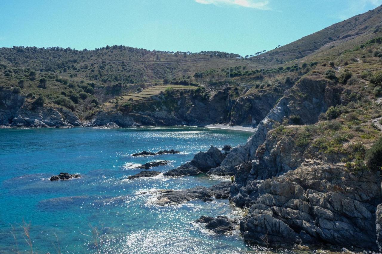 F3 En Bord De Mer Avec Piscine Cerbere Luaran gambar